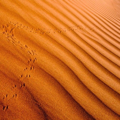No Eyes - Horizon Remix - DOLBY/LANDR Master