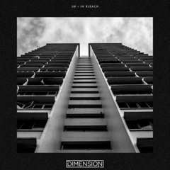 DIMENSION - UK (WHOYOU? FLIP)