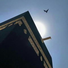 "وَاصْبِرْ عَلَى مَا يَقُولُونَ وَاهْجُرْهُمْ هَجْرًا جَمِيلًا"  -القارئ عبدالرحمن مسعد