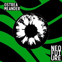 Ostrea - Meander
