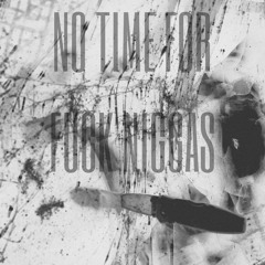 NO TIME FOR FUCK NIGGAS (by NEXXXTxREZXREKT)