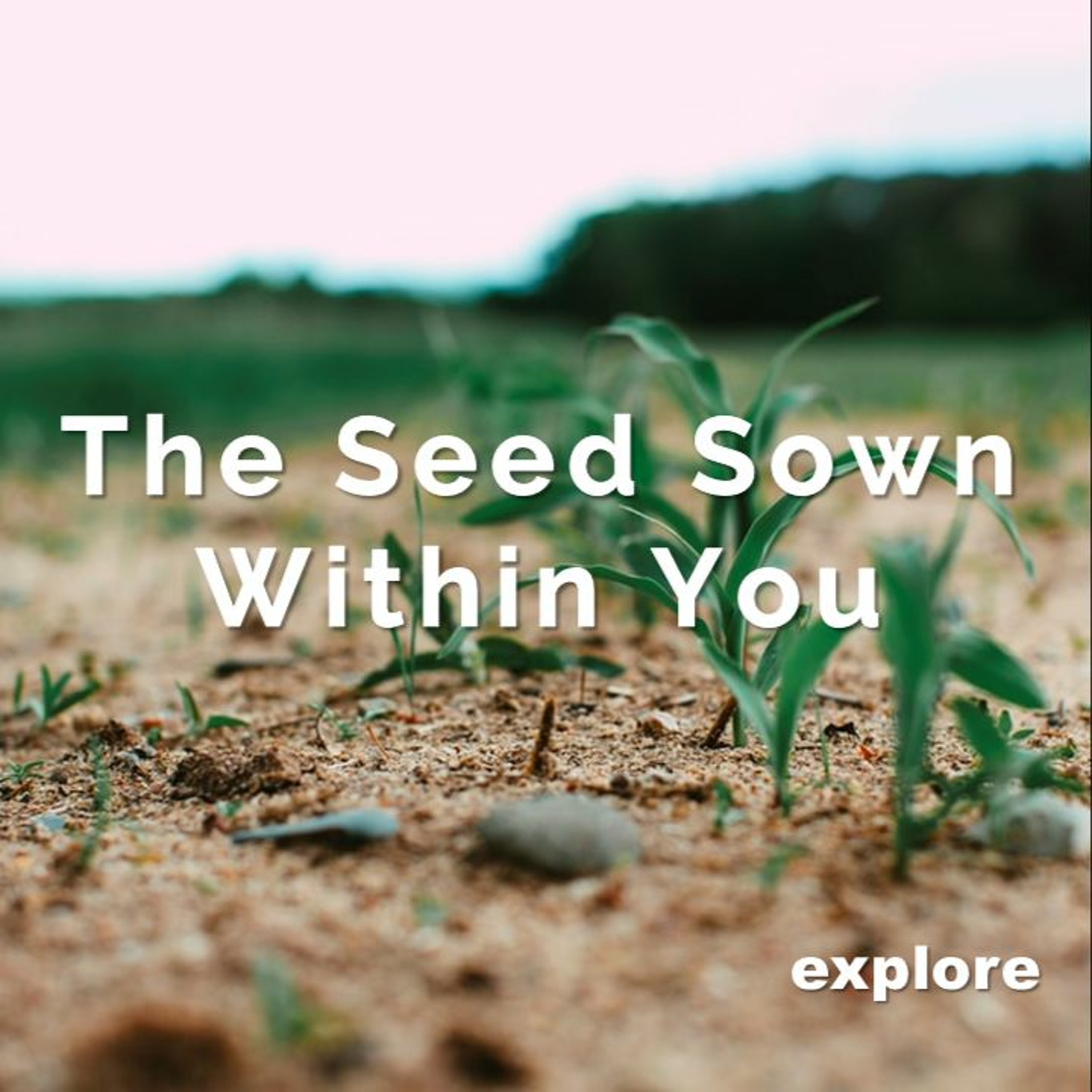 Sermons from Pinelands Baptist