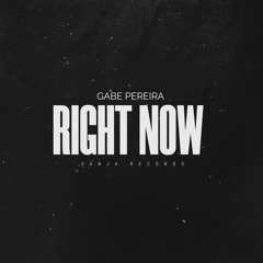 Gabe Pereira - Right Now (Na Na Na)
