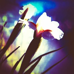 Contemplation, Reassurance