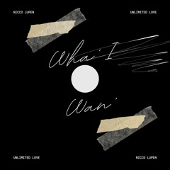 Wha' I Wan' (Radio Edit)