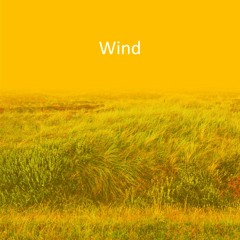 Wind