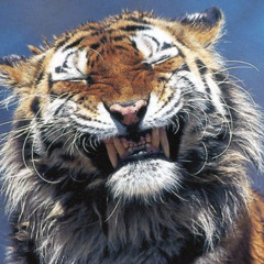 Eu não sou o Batman