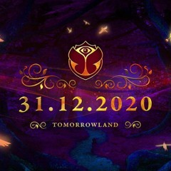 Tomorrowland 2021 (New year) - Martin Garrix