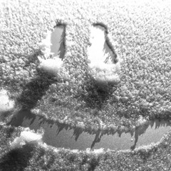 Bernie le vikings .mp3