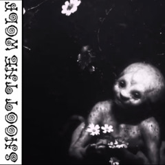 Shoot The Wolf - The Brink