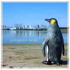 penguins walk