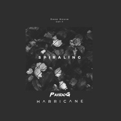 Harricane & Pando G - Spiraling