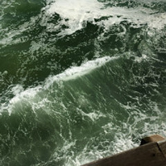 I NEVER THOUGHT FT. FLORA PIENAAR