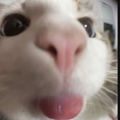 Nếu ví anh như remix