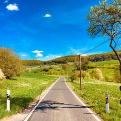 Written Songs by Léon