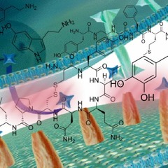 Serotonin Senpai Prod. DEAD*AT*18