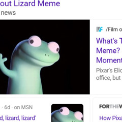 lizard (40)