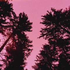 nothings forever (kaydo)