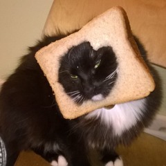 NorthernLights - Raw