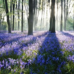 SENSITIVITY #03 - Psy & Uplift (June, 2021)