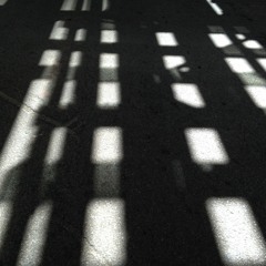 Shadowloops(2008, Bassweight Recordings)