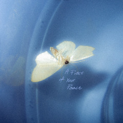 A Piece of Your Peace