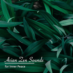 Binaural Beats Sleep Serenity