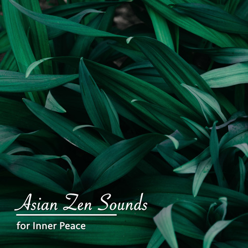 Binaural Beats Sleep Serenity