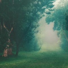 Xample - The Forest