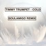 Timmy Trumpet - Cold (SoulAmigo Remix)
