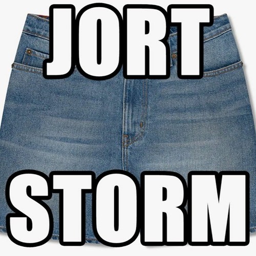 JORT STORM (Remix)