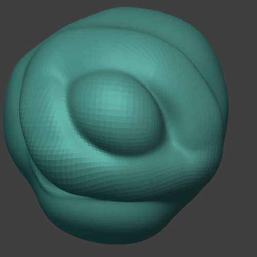 protopype