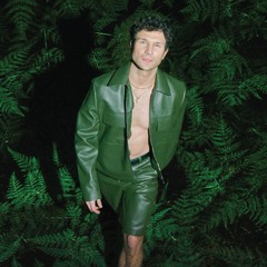 Vaidas Baumila - Gėlė