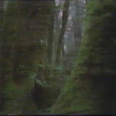 PAINFOREST