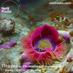 Плазма w/ TSUNIMAN b2b Mademoisel - Netil Radio - 2nd July 2023