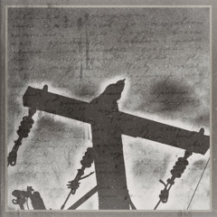 Blackbird (Cover)