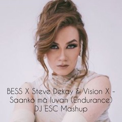 BESS X Steve Dekay & Vision X - Saanko Mä Luvan (Endurance) DJ ESC Mashup (Radio Edit)