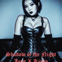 Shadow Of The Night