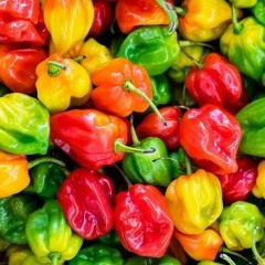 Habanero