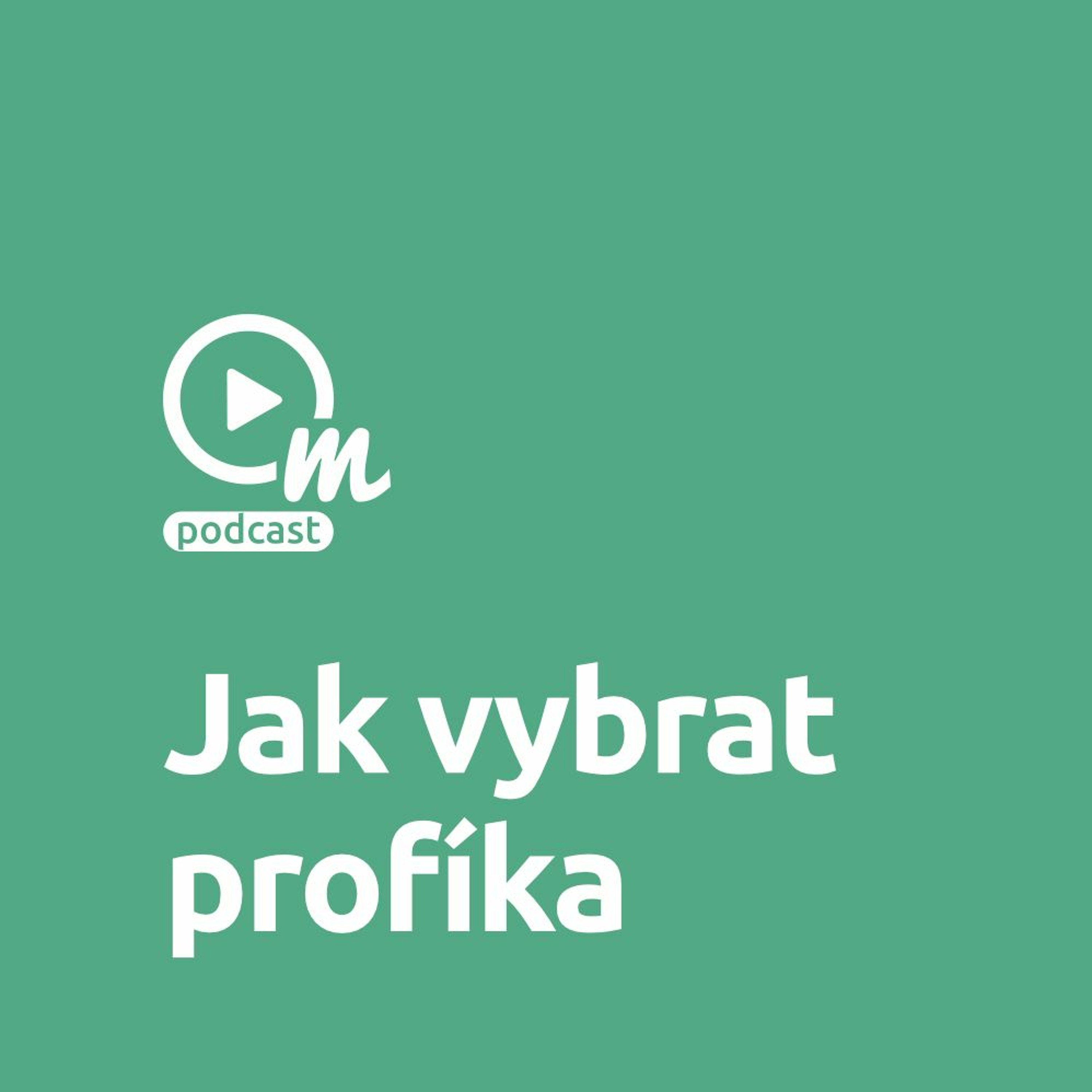 Užitečné tipy pro výběr marketingového profesionála episode artwork