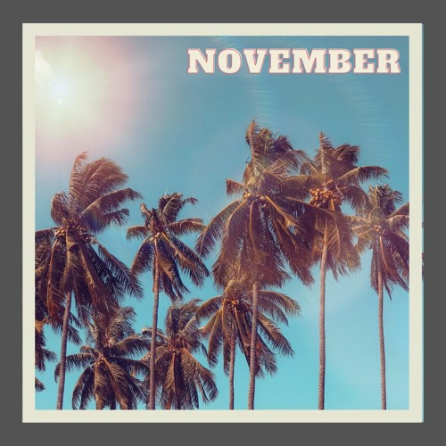 Palm Dreams