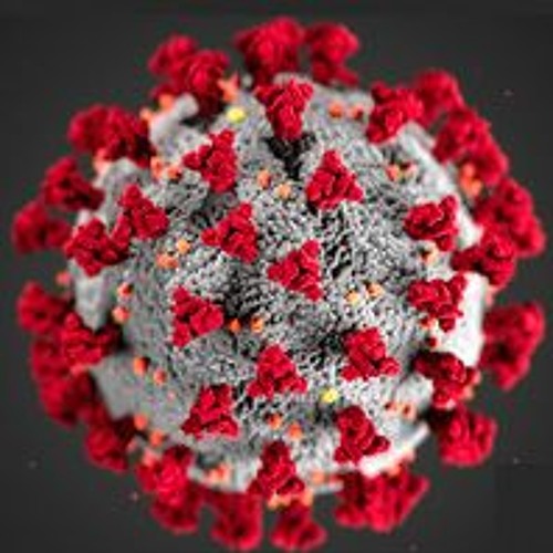 Webster World Report: Coronavirus Special, May 8, 2020
