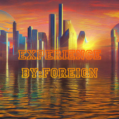 Experience