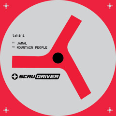 PREMIERE: tahini - Mountain People [Scruniversal Records]