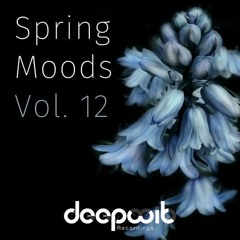 Untold Dreams - Original Mix - Mark Mac - DeepWit Recordings