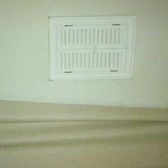 Stark lines fragment the shore