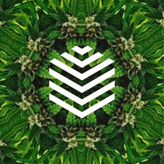 DJ VOXEL - Vibe Check