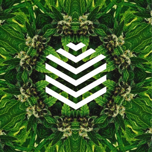DJ VOXEL - Vibe Check