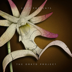 Temptation (feat. Orkyd)