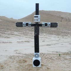 cross
